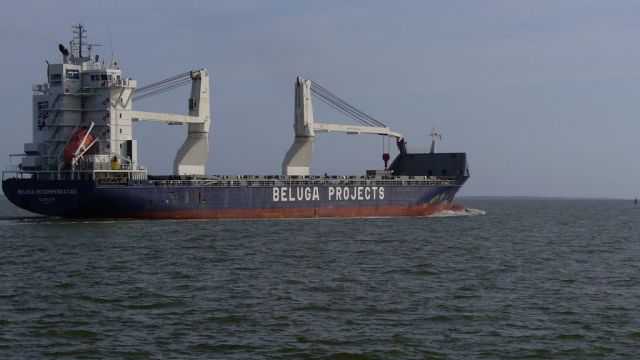 Beluga recommendation - saint nazaire - 10 septembre 2010 (04).JPG